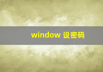 window 设密码